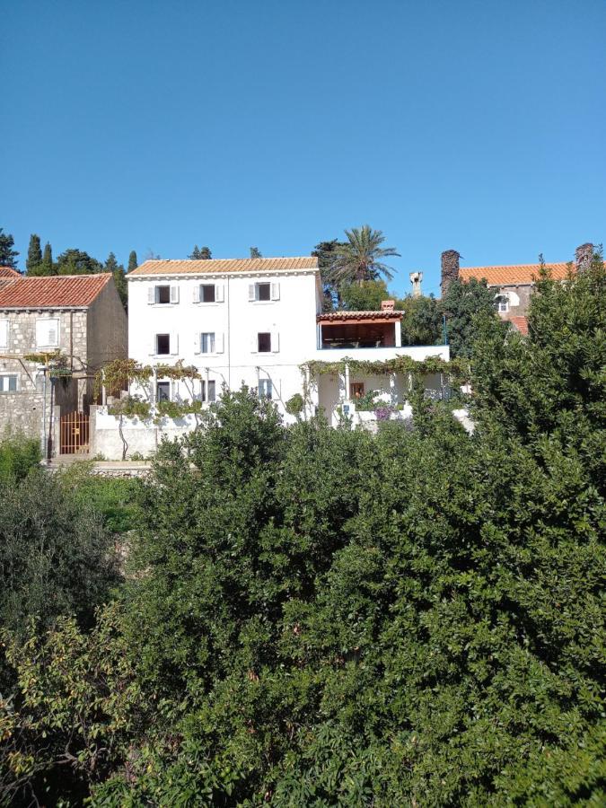Villa Sea Dream Kolocep Gornje Celo Kültér fotó