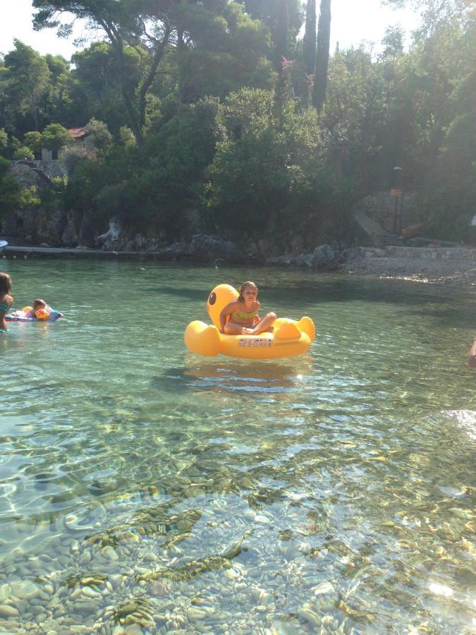 Villa Sea Dream Kolocep Gornje Celo Kültér fotó