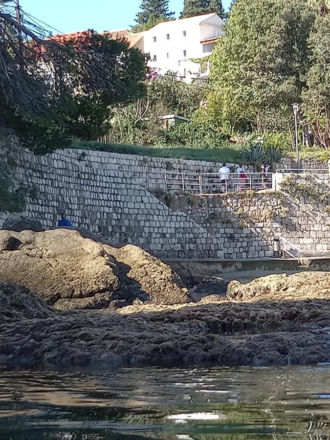 Villa Sea Dream Kolocep Gornje Celo Kültér fotó