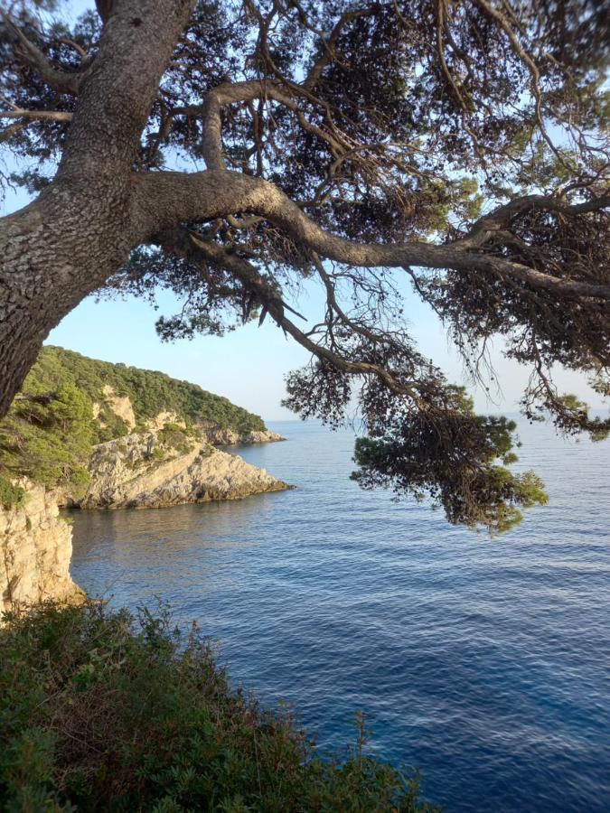 Villa Sea Dream Kolocep Gornje Celo Kültér fotó