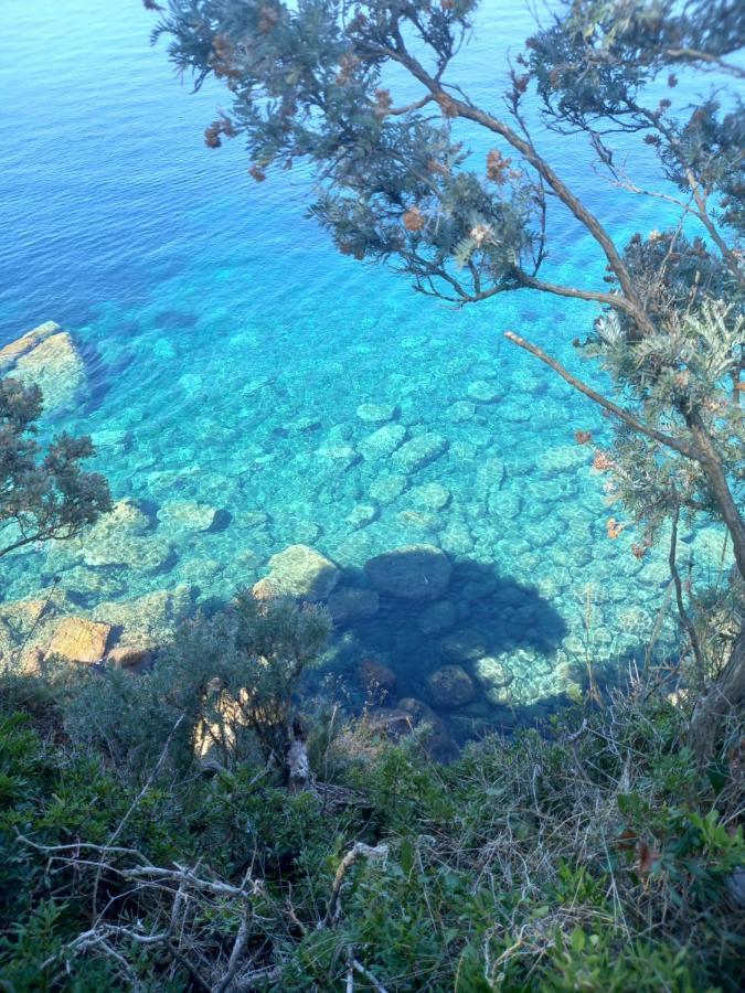 Villa Sea Dream Kolocep Gornje Celo Kültér fotó