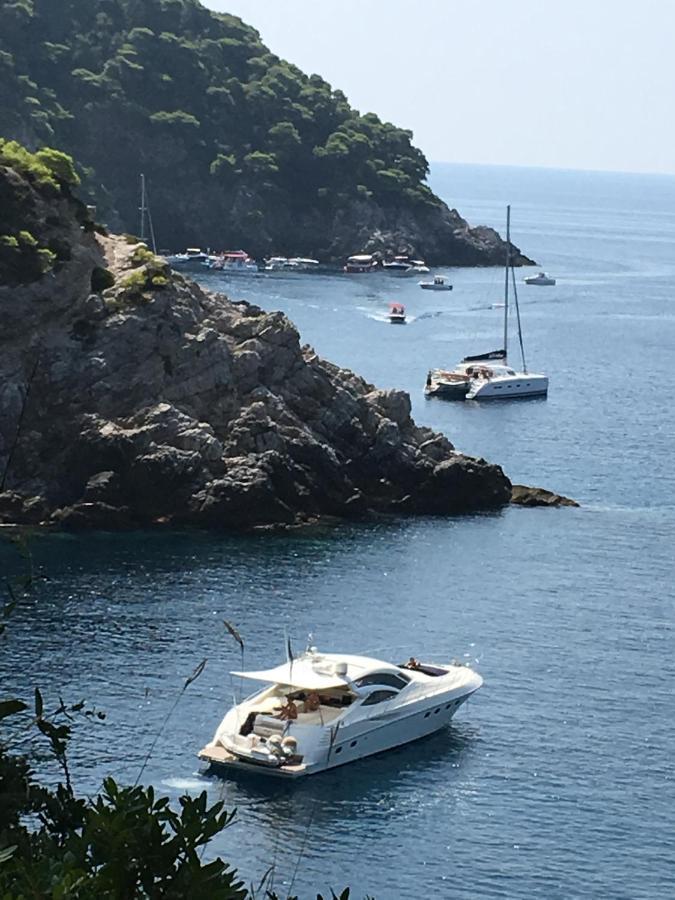 Villa Sea Dream Kolocep Gornje Celo Kültér fotó