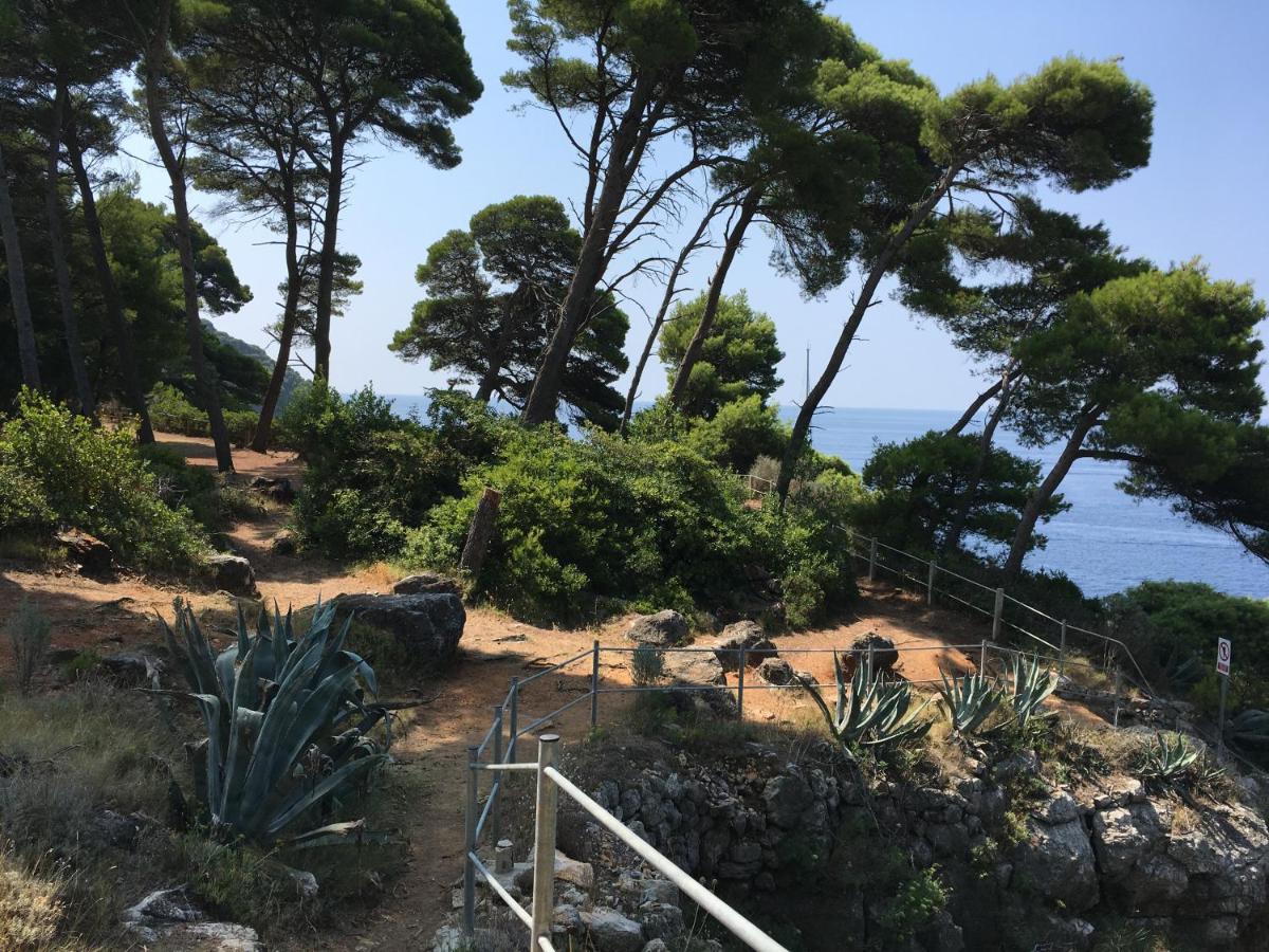 Villa Sea Dream Kolocep Gornje Celo Kültér fotó
