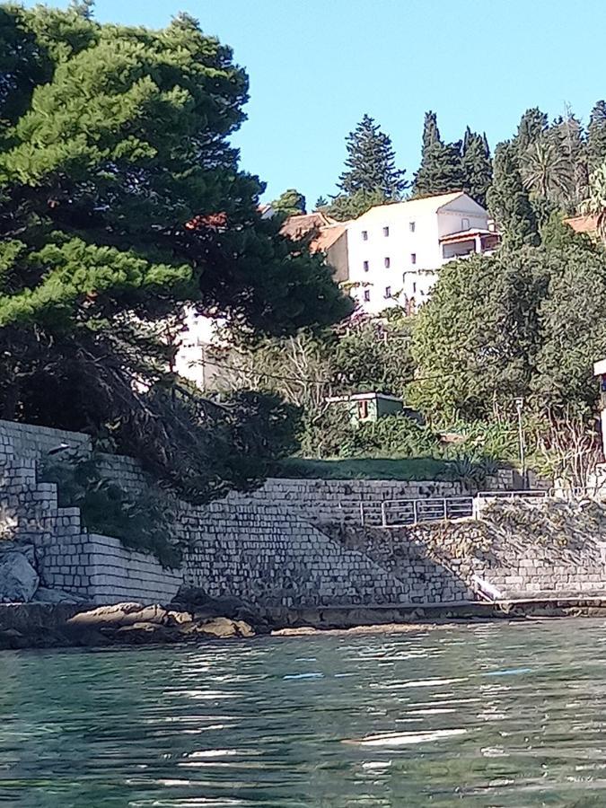 Villa Sea Dream Kolocep Gornje Celo Kültér fotó