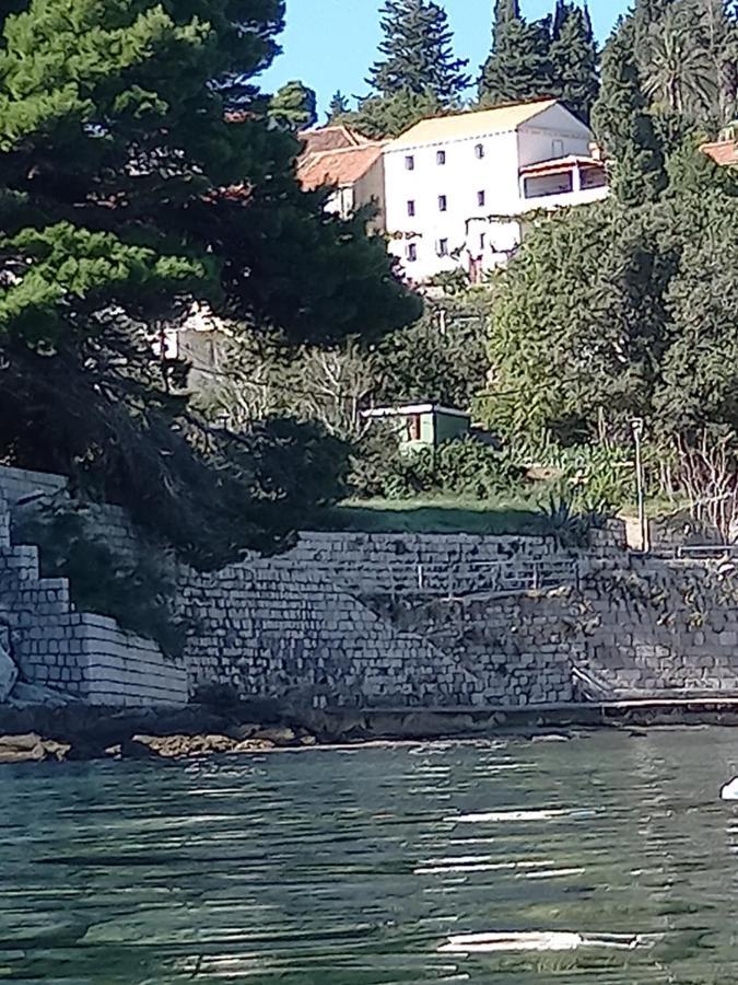 Villa Sea Dream Kolocep Gornje Celo Kültér fotó