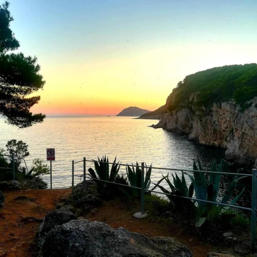 Villa Sea Dream Kolocep Gornje Celo Kültér fotó